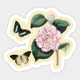 Watercolor of pink camellia flowers and butterflies Sticker